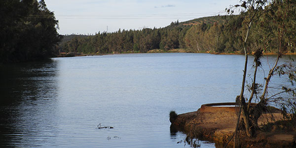 La zona del río Odiel